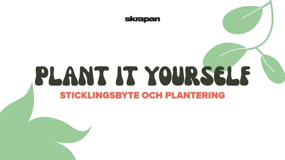 đ± Plant it yourself @Skrapan! â Sticklingsbyte & Plantering đż