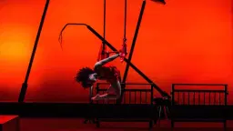 The Panto Company Presents: The Jungle Book