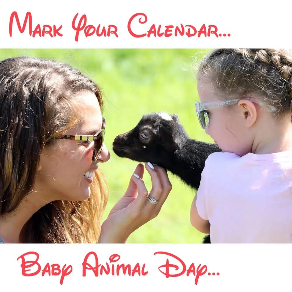Baby Animal Days