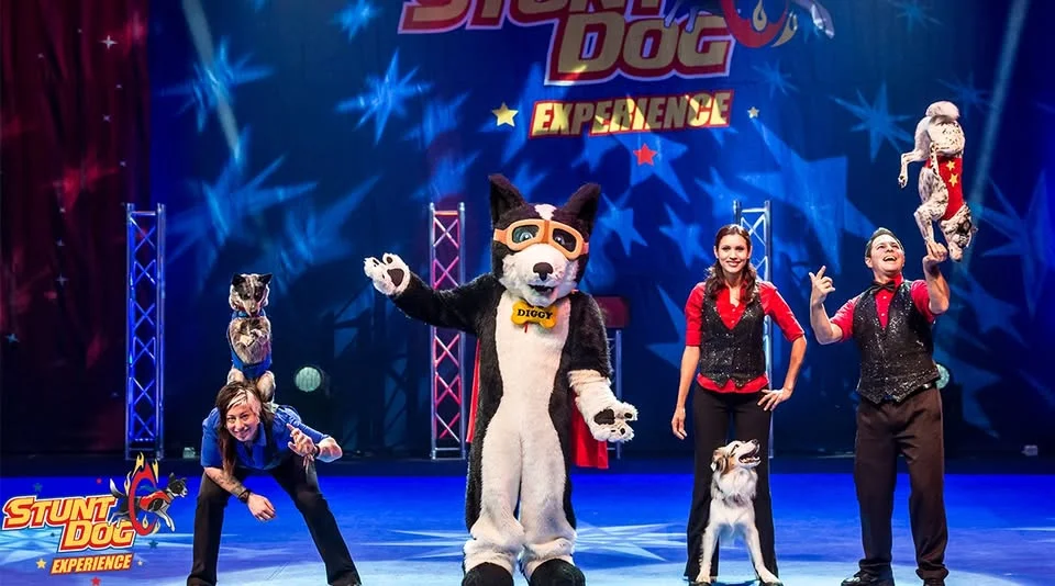 Perondi's Stunt Dog Experience