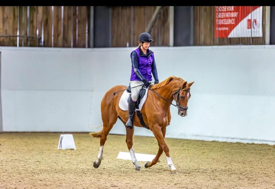 Dressage Winter Series DOUBLE POINTS