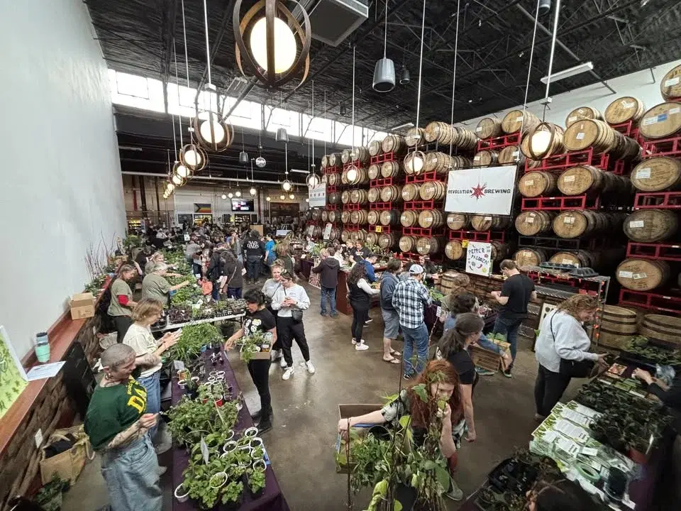 Seedling Extravaganza! AGA 2026