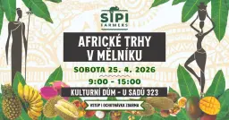 🌴 Africké trhy v Mělníku