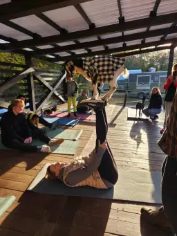 Goat Yoga