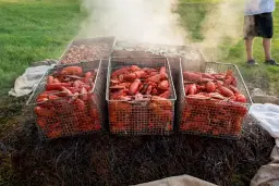 6th Annual Father's Day Clambake at Ragged Island!