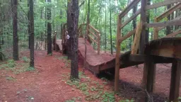 🚵Group Ride & Social🍻