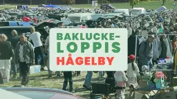 Stor bakluckeloppis i Hågelby!