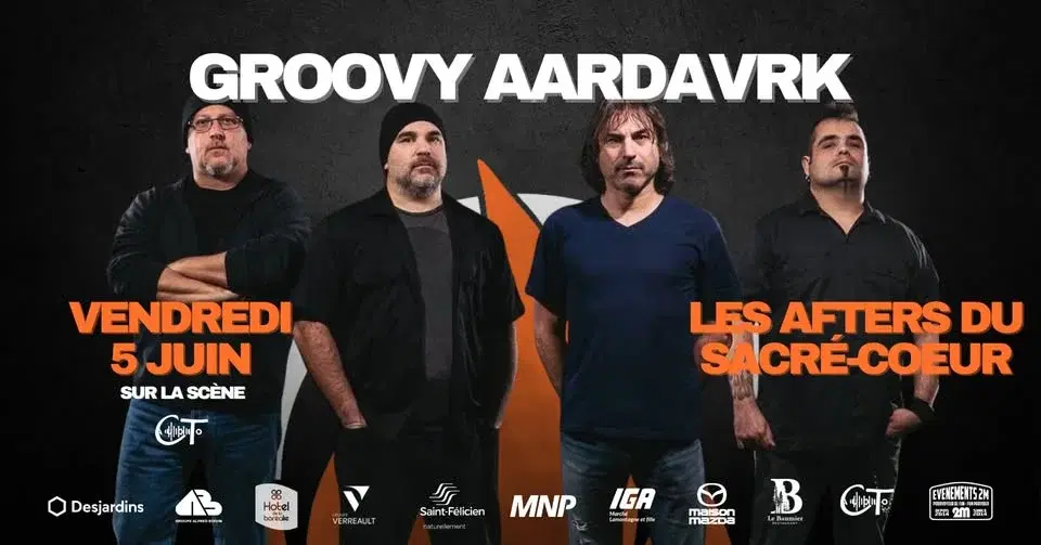 Groovy Aardvark // Festi St-Fé