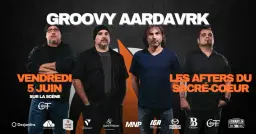 Groovy Aardvark // Festi St-Fé