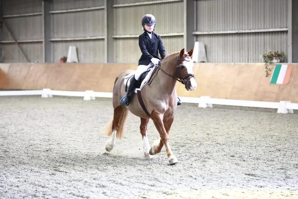 BRC Area 12 Introductory Dressage Qualifier (Hosted by ETSW) 21st February 2026