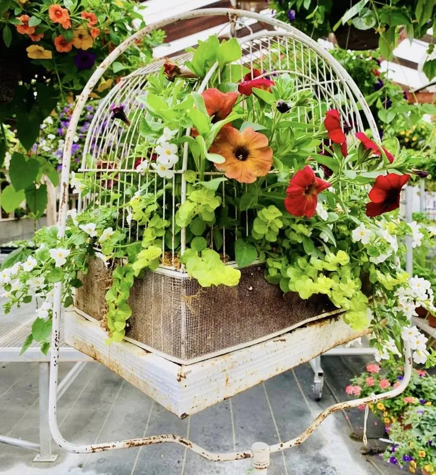 Spring Planting Workshop