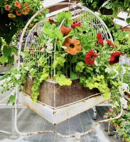 Spring Planting Workshop