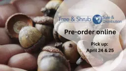 Spring Tree & Shrub Sale