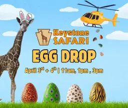 KEYSTONE SAFARI EGG DROP