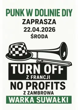 Punk w Dolinie DIY zaprasza