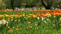 Guidad visning i Botaniska trädgården
