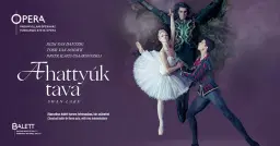 Rudi van Dantzig – Toer van Schayk / Pjotr Iljics Csajkovszkij: A hattyúk tava