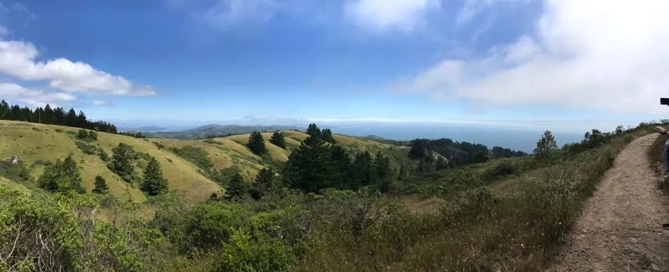 Dipsea: Hiking Marin's Most Famous Trail + Picnic
