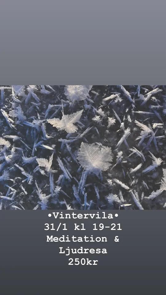 Vintervilan
