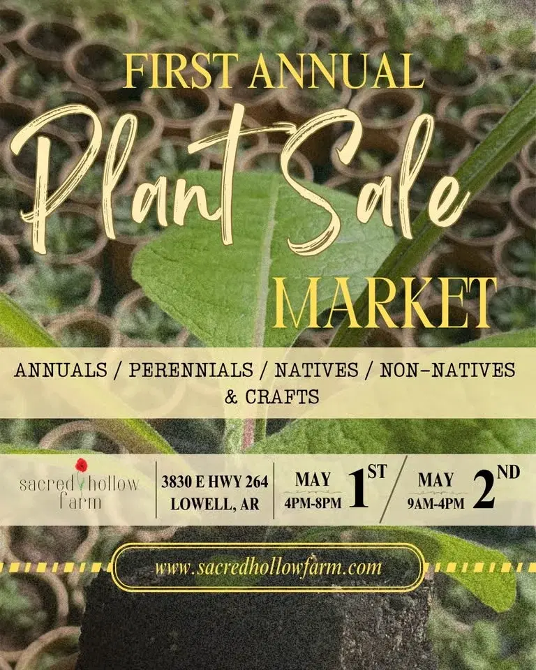 Plant Sale Market