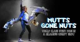 Mutts Gone Nuts