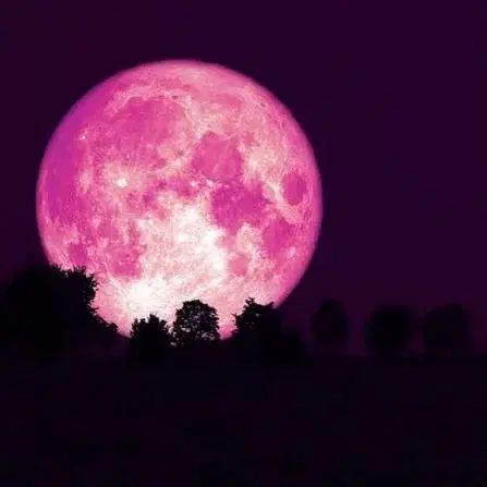 Full Moon Sound Bath