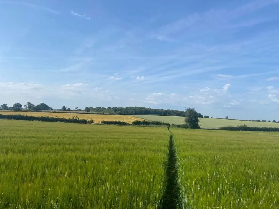 May Evening Walk - Whixley - 5 miles/8km