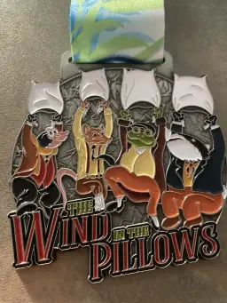 Wind in the Pillows Marathon & Half Marathon