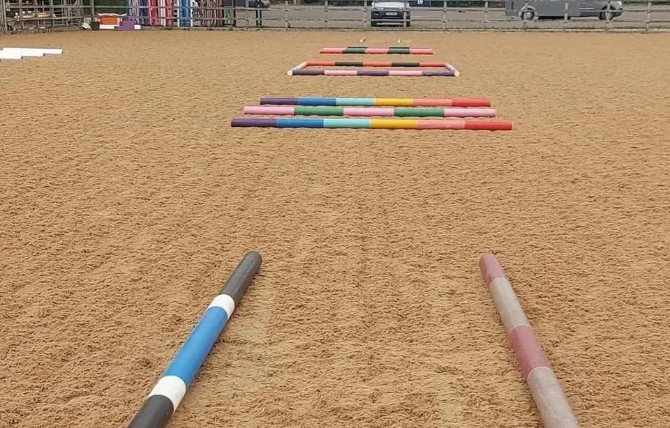 🌟 🦄DRESSAGE WITH POLES CLINIC ~ BCA🦄 🌟