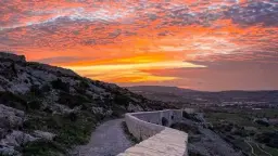 Victoria Lines Sunset Charity Walk to Help Dogs Sanctuary đ