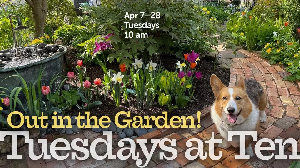 Tuesdays at Ten | Out in the Garden