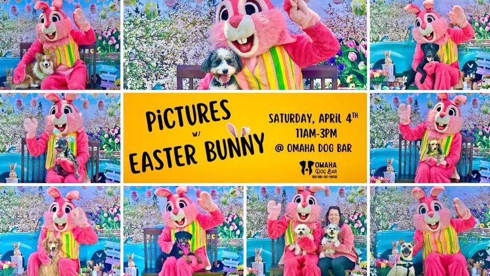 FREE Photos with the Easter Bunny @ Omaha Dog Bar