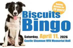 Biscuits Bingo!