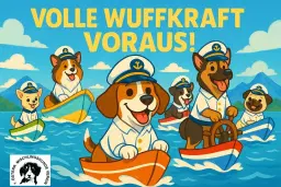 Hunderennen Sommercup Volle Wuffkraft voraus