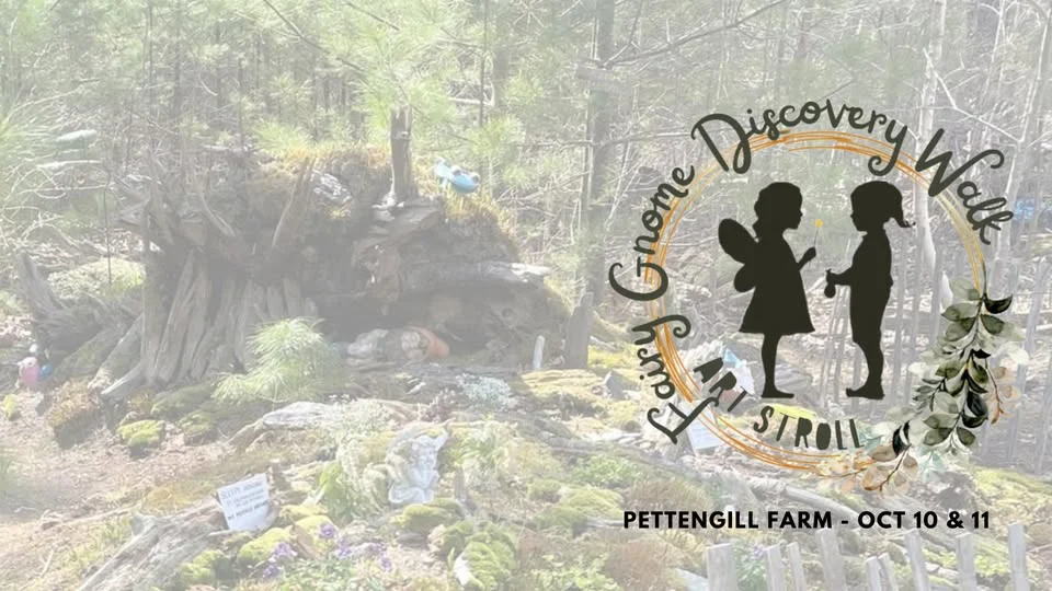 2026 Fairy Gnome Discovery Walk & Art Stroll