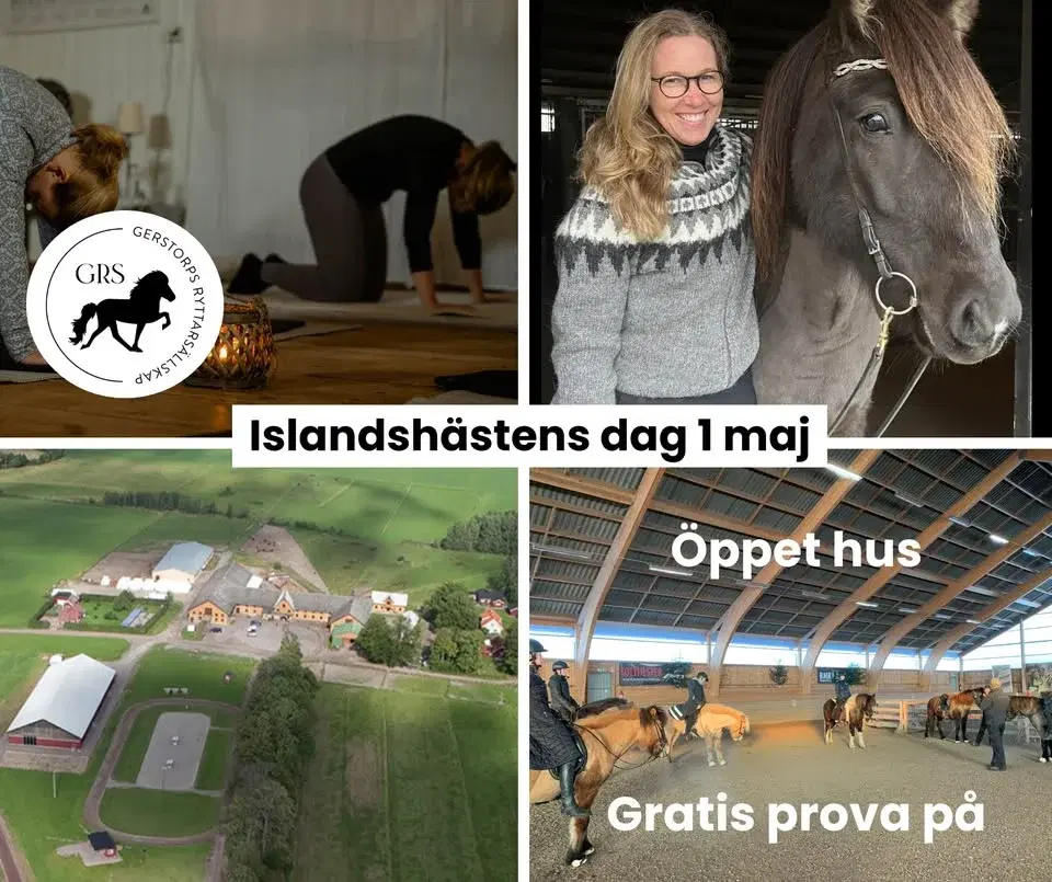 Islandshästens dag 1 maj - Linköping