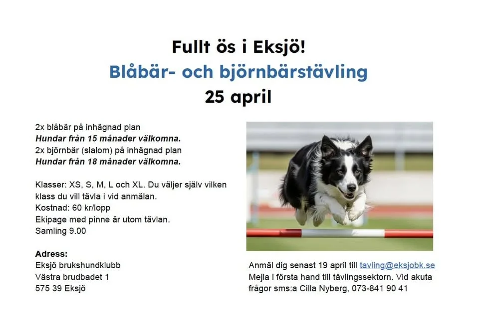 Blåbär och björnbärstävling i Eksjö!