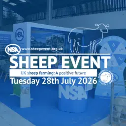 NSA Sheep Event 2026
