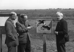 Talk: One good Tern deserves a Shorebird Warden