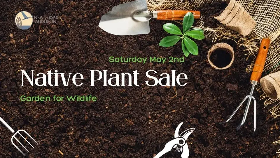 Native Plant Sale