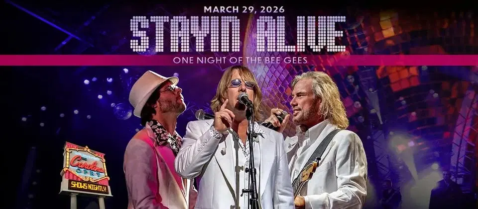 Stayin' Alive: One Night of the Bee Gees