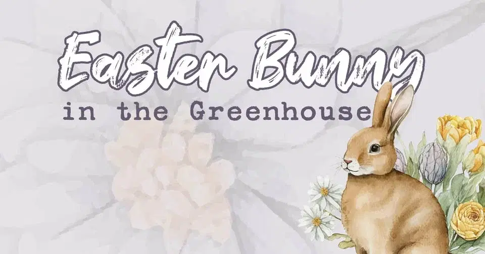 Easter Bunny in the Greenhouse