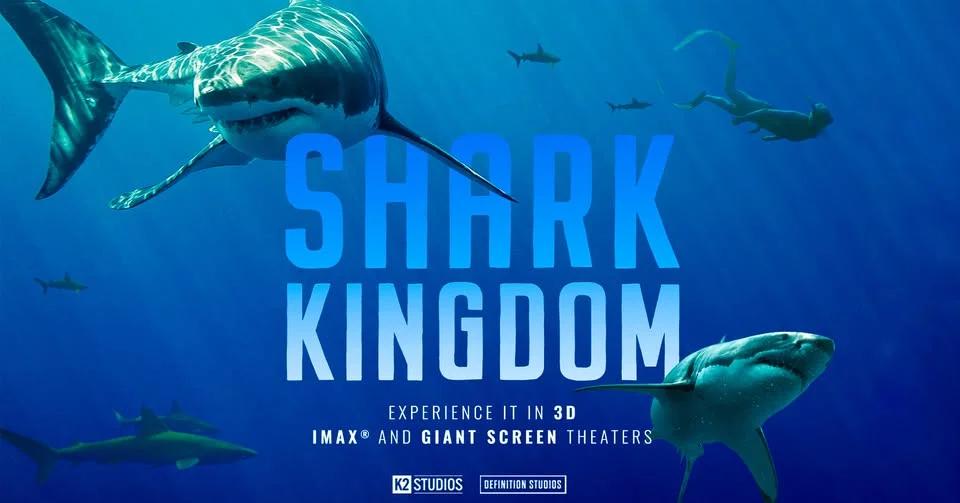 Sportlovspremiär! Shark Kingdom- följ med in i hajarnas rike!