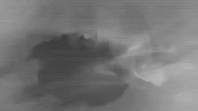 Wandering Oak: Julie's Haircut (IT)