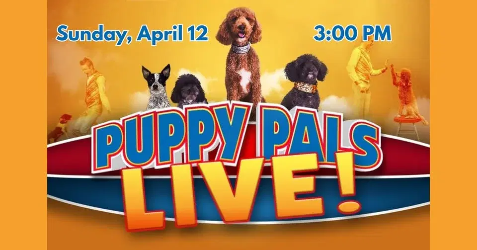Puppy Pals Live!