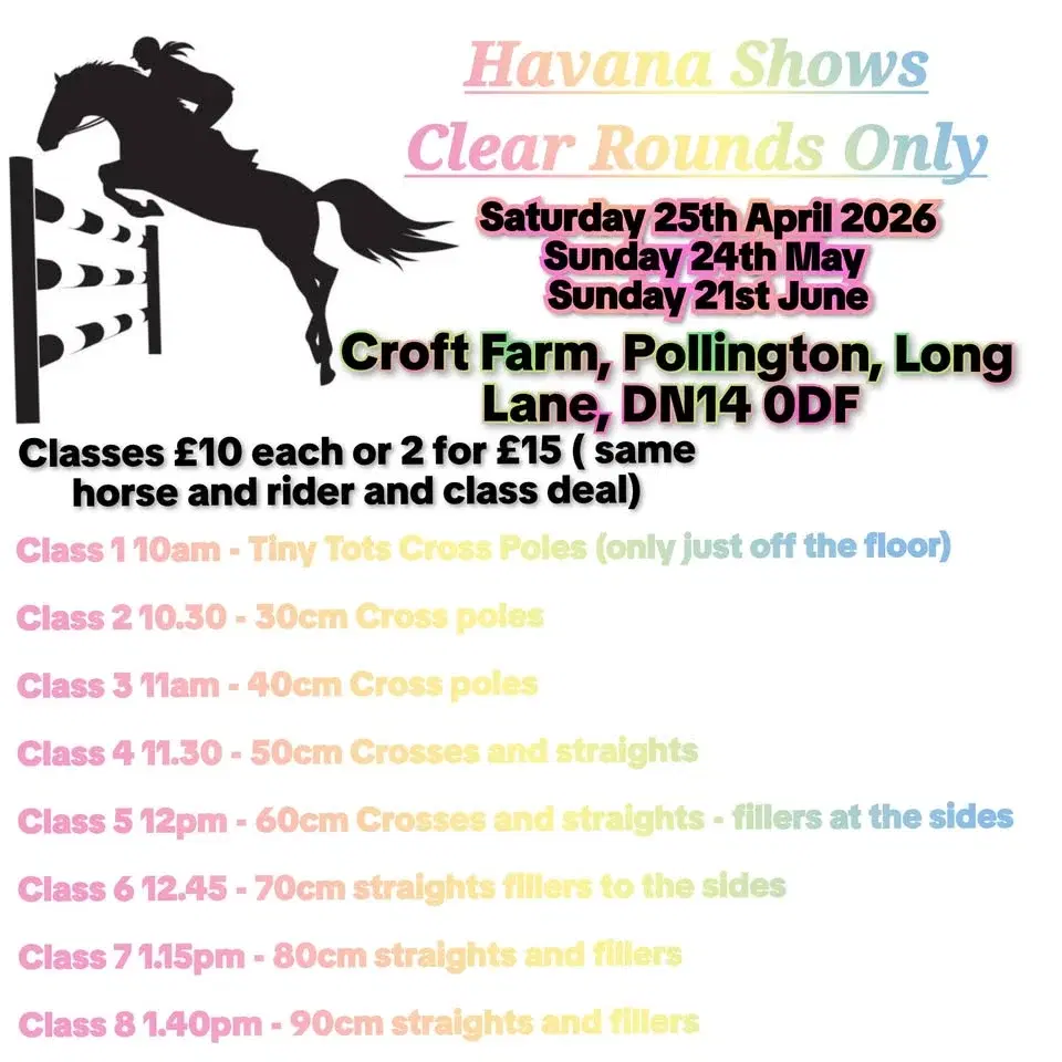 clear round jumping poles to 90cm