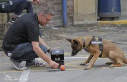 Scent Detection With Simon Prins