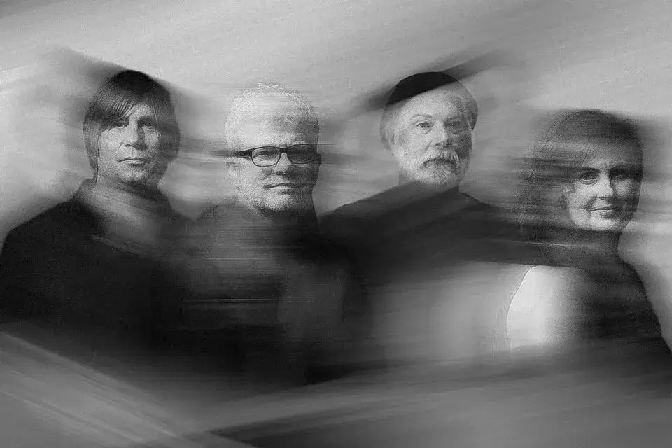 The New Pornographers