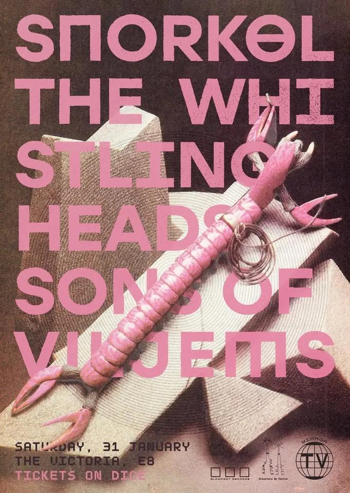 MIRROR TV / DISASTERS BY CHOICE PRESENT - SNORKEL/ THE WHISTLING HEADS/ SONS OF VILJEMS (+GUEST)