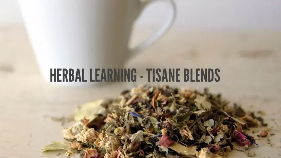 Herbal Learning - Tisane Blends